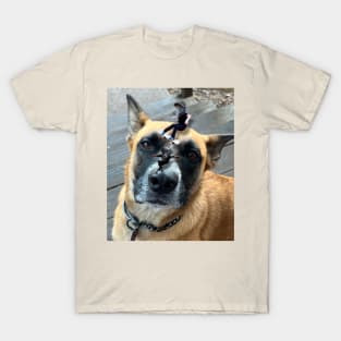 Skateboarding dogs T-Shirt